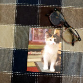 Carte Postale Calico Kitten