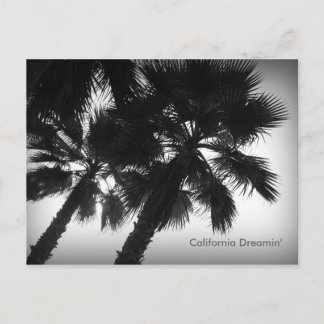 Carte postale California Dreamin' Palm Trees