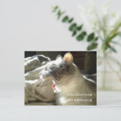 Carte Postale California Dreaming (Debout devant)