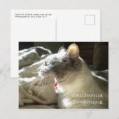 Carte Postale California Dreaming (Devant / Derrière)