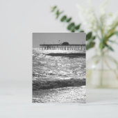 Carte Postale California Dreams (Debout devant)