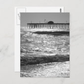 Carte Postale California Dreams (Devant / Derrière)