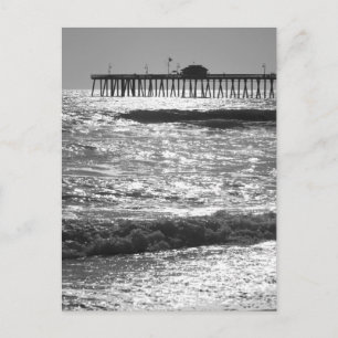 Carte Postale California Dreams