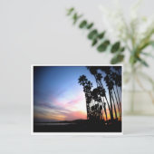 Carte Postale California Dreams (Debout devant)