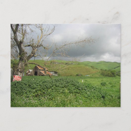 Carte postale California - Gilroy, Californie (Devant)