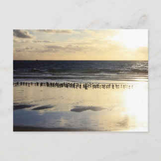 Carte Postale California - Manhattan Beach. K