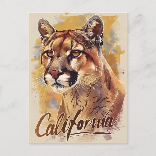 Carte Postale California Mountain Lion Cougar Portrait (Devant)