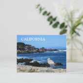 Carte postale California, Pacifique (Debout devant)