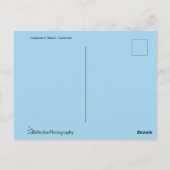 Carte Postale California Pelican on the Beach (Dos)