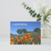 Carte postale California Poppy (Debout devant)