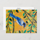 Carte Postale California Scrub Jay (Devant / Derrière)