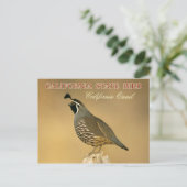 Carte Postale California State Bird - Californie Quail (Debout devant)
