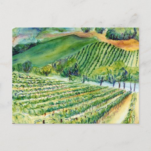 Carte postale California Vineyard (Devant)