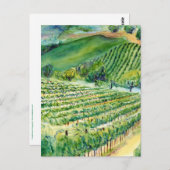 Carte postale California Vineyard (Devant / Derrière)