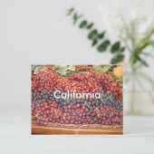 Carte postale California Winery (Debout devant)