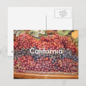 Carte postale California Winery (Devant / Derrière)