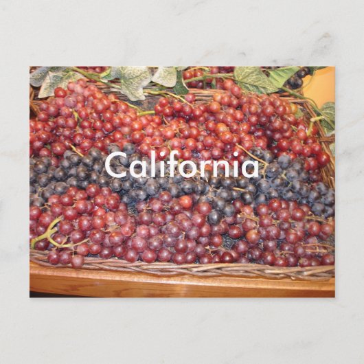 Carte postale California Winery (Devant)