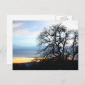 Carte Postale Californie (Devant / Derrière)