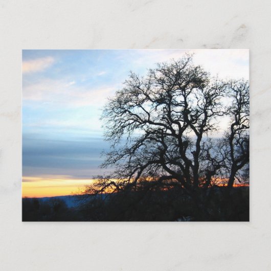 Carte Postale Californie (Devant)