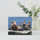 Carte Postale Californie (Debout devant)