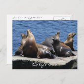 Carte Postale Californie (Devant / Derrière)