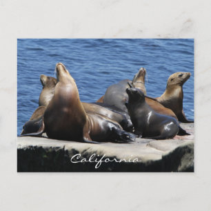 Carte Postale Californie