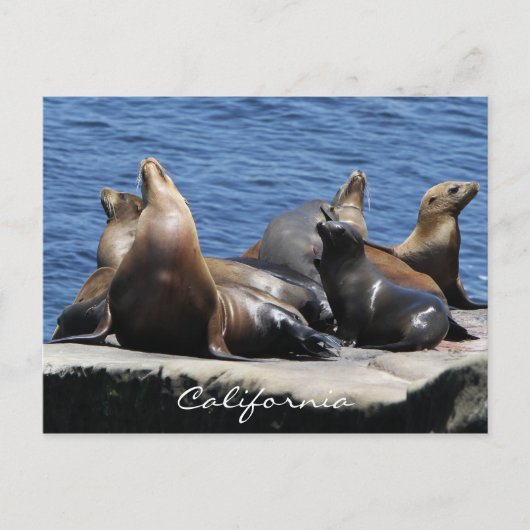 Carte Postale Californie (Devant)