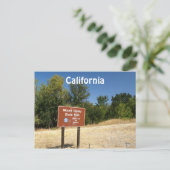 Carte Postale Californie (Debout devant)