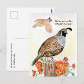 Carte Postale Californie (Devant / Derrière)