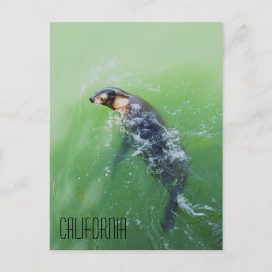 Carte Postale Californie (Devant)