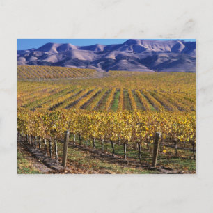 Carte Postale Californie, comté de San Luis Obispo, vallée d'Edn