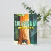 Carte Postale Californie, forêt de séquoias, Grand Arbre, Séquoi (Debout devant)