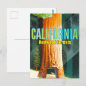 Carte Postale Californie, forêt de séquoias, Grand Arbre, Séquoi (Devant / Derrière)