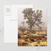 Carte Postale Californie : Monument national de Joshua Tree, (Devant / Derrière)