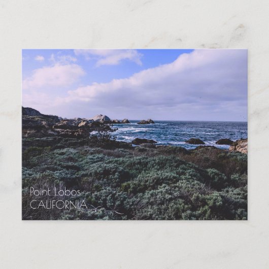 Carte Postale Californie Pacific Coast Point Lobos Monterey (Devant)