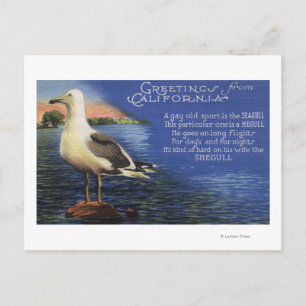 Carte Postale Californie - Salutations de, Poème Seagull