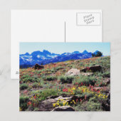 Carte Postale Californie, Sierra Nevada Mountains 1 (Devant / Derrière)