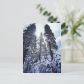 Carte Postale Californie, Sierra Nevada Mountains 9 (Debout devant)