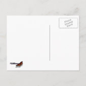 Carte Postale Californie Sunset Waves Ocean Seascape (Dos)