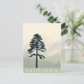 Carte postale californienne (Debout devant)