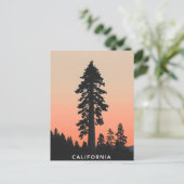 Carte postale californienne (Debout devant)