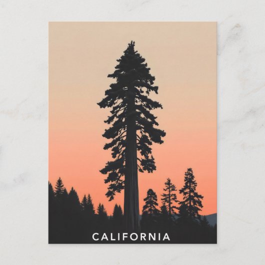 Carte postale californienne (Devant)