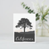 Carte postale californienne (Debout devant)