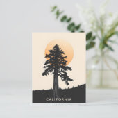 Carte postale californienne (Debout devant)