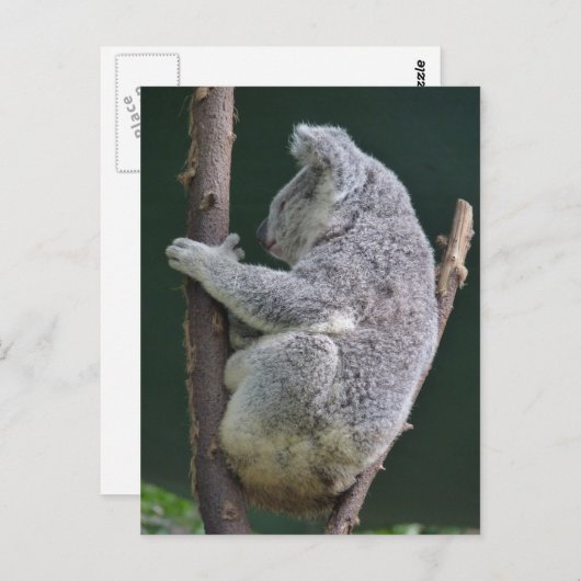 Carte Postale câlin (Devant / Derrière)