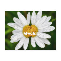 Câlins de daisy pour la Saint-Valentin 