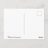 Carte Postale Câlins de girafe romantiques personnalisés (Dos)