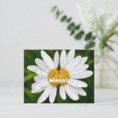 Carte Postale Câlins de joyeux anniversaire à la Saint-Valentin (Debout devant)