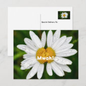 Carte Postale Câlins de joyeux anniversaire à la Saint-Valentin (Devant / Derrière)