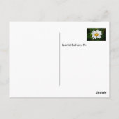 Carte Postale Câlins de joyeux anniversaire à la Saint-Valentin (Dos)